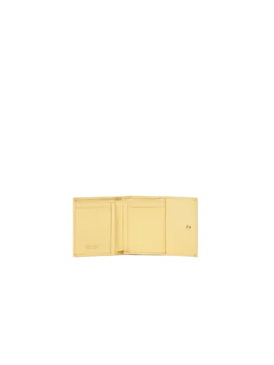 Giallo